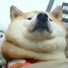 Alexvare14's profile picture