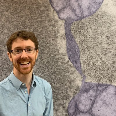 Martin Picard's profile picture