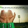الحكم الأموي القرشي 💚🇸🇦💚 的头像