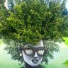 gbolly's profile picture