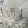 Profilbild von RA