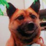 Profilbild von kuro404