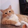Levyeci's profile picture