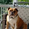 Leslie Mason's profile picture