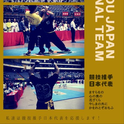 台湾に帰化して、推手と套路で台湾国体の頂点を目指してみた's profile picture