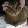 ままちゃん ̄(=∵=) ̄'s profile picture