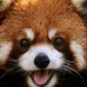 Profilbild von Mek