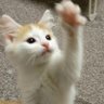 とも(゜▽゜*) profil fotoğrafı