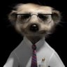 Scept Meerkat profil fotoğrafı