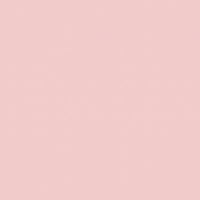 sou_sua_sabia's profile picture
