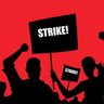 The Socialist's profile picture