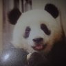 つよたか's profile picture