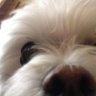 Profilbild von gbod