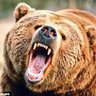 Yooper profil fotoğrafı