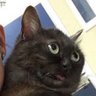 Se's profile picture