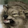 Conscious Navigator's profile picture