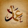 Фото профиля Emad el hennawi