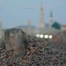Фото профиля Amoonh Ali