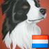 Profilbild von dozo
