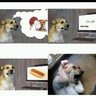Profilbild von Jesús ....