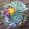 Profilbild von Bouquet of Cactus🌵