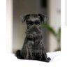 Julia ⭐️⭐️ ⭐️ profil fotoğrafı