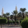 رجائي الفردوس profil fotoğrafı