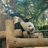 かりん's profile picture