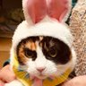 ジュリオ profil fotoğrafı