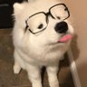Lloyd 𝕏 profil fotoğrafı