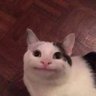 Andoi's profile picture