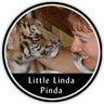 Little Linda Pinda profil fotoğrafı