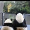 Profilbild von あかぱん🐼 🌻🌻🌻