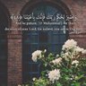 Фото профиля Ahlam