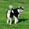 Profilbild von nancy