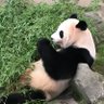 みやこ profil fotoğrafı
