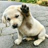 flo garr profil fotoğrafı