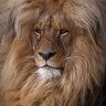 Moneim El radi profil fotoğrafı