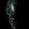 wajiha al- dabbas77's profile picture