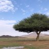 ......أبومصعب profil fotoğrafı
