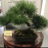 haoran 的头像