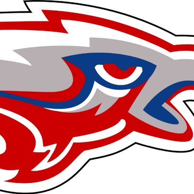 Hammond Athletics's profile picture