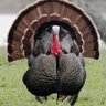 A16eV profil fotoğrafı