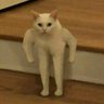 Jimmy's profile picture