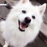 まいい 的头像