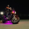 せいいち。's profile picture