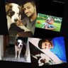 Dogs👍Humans👎's profile picture