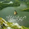 Фото профиля Ala'a Moh