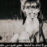 dhofari profil fotoğrafı