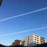 Yoshie A 的头像